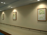 病院に飾る現代アート03（海が見える病院）